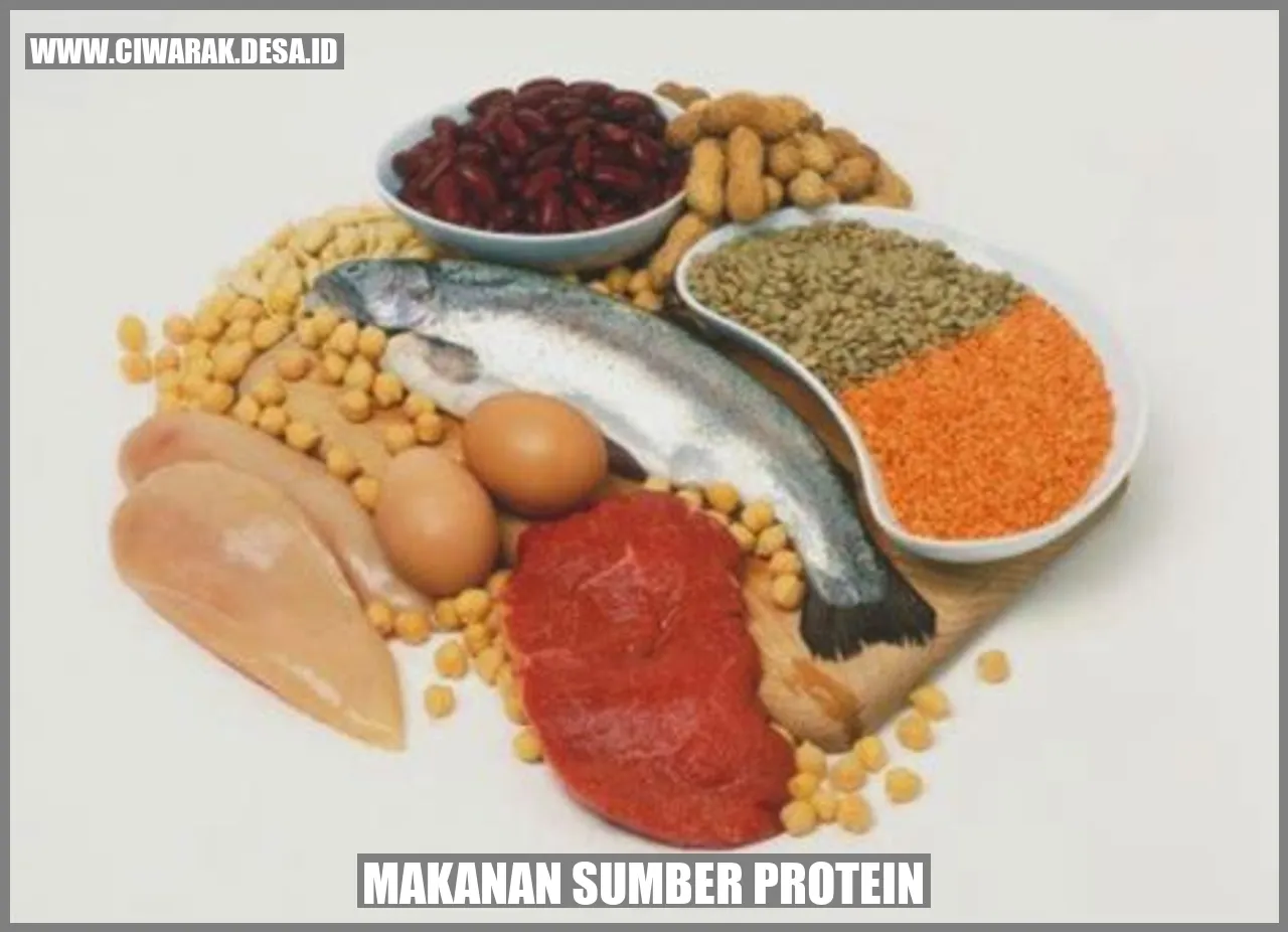 Makanan Sumber Protein