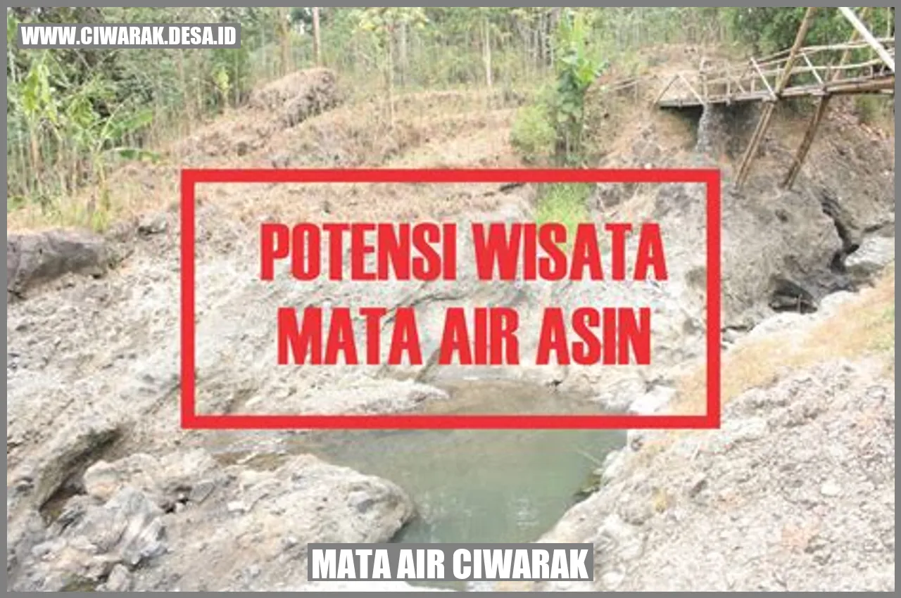Mata Air Ciwarak